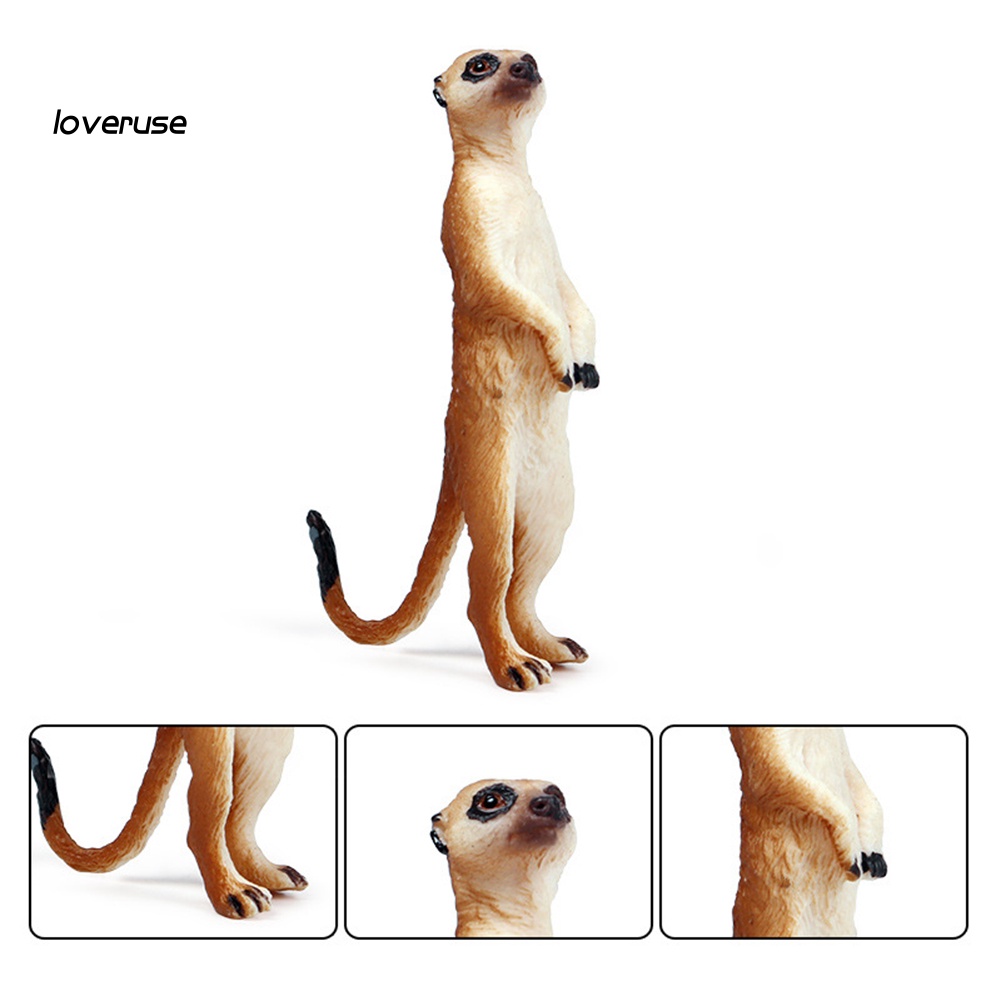 / Lo / LO Đồ trang trí Động Vật Hoang Dã Để Bàn Trang Trí