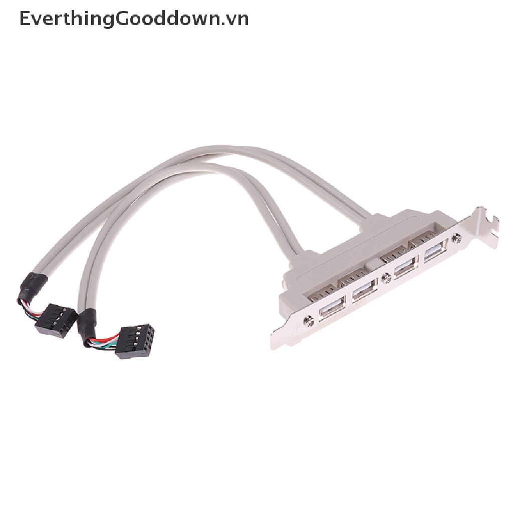 Everthingood Cáp Mở Rộng 4 Cổng USB 2.0 Sang 9 Pin Cho Bảng Điều Khiển PC vn