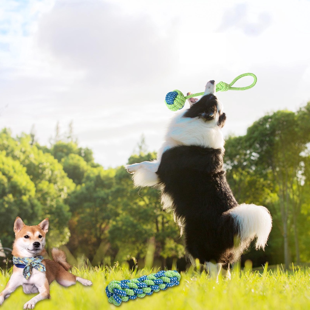 Set 13 Đồ Chơi Dây Thừng Bện Vui Nhộn Cho Thú Cưng Mọc Răng