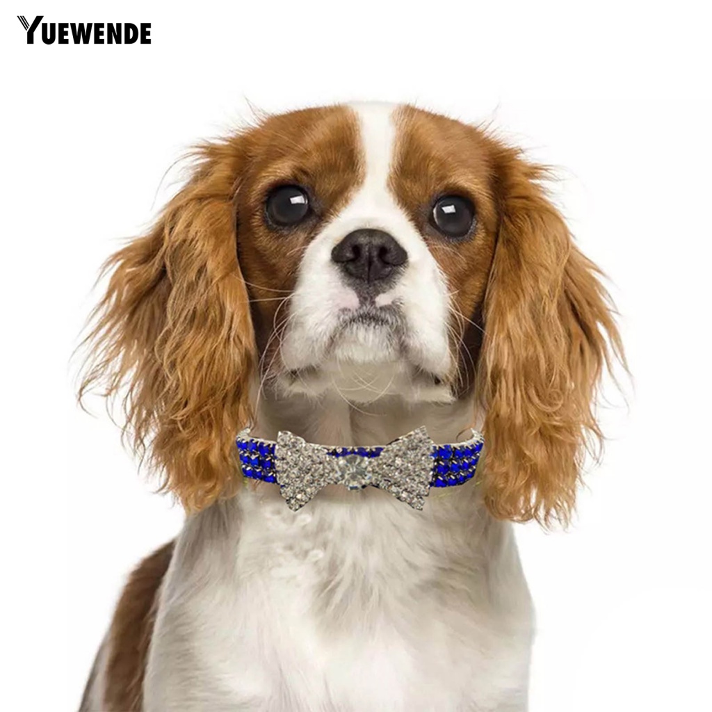 Vòng Cổ YE.B Đính Đá Thời Trang Mùa Xuân Cho Thú Cưng