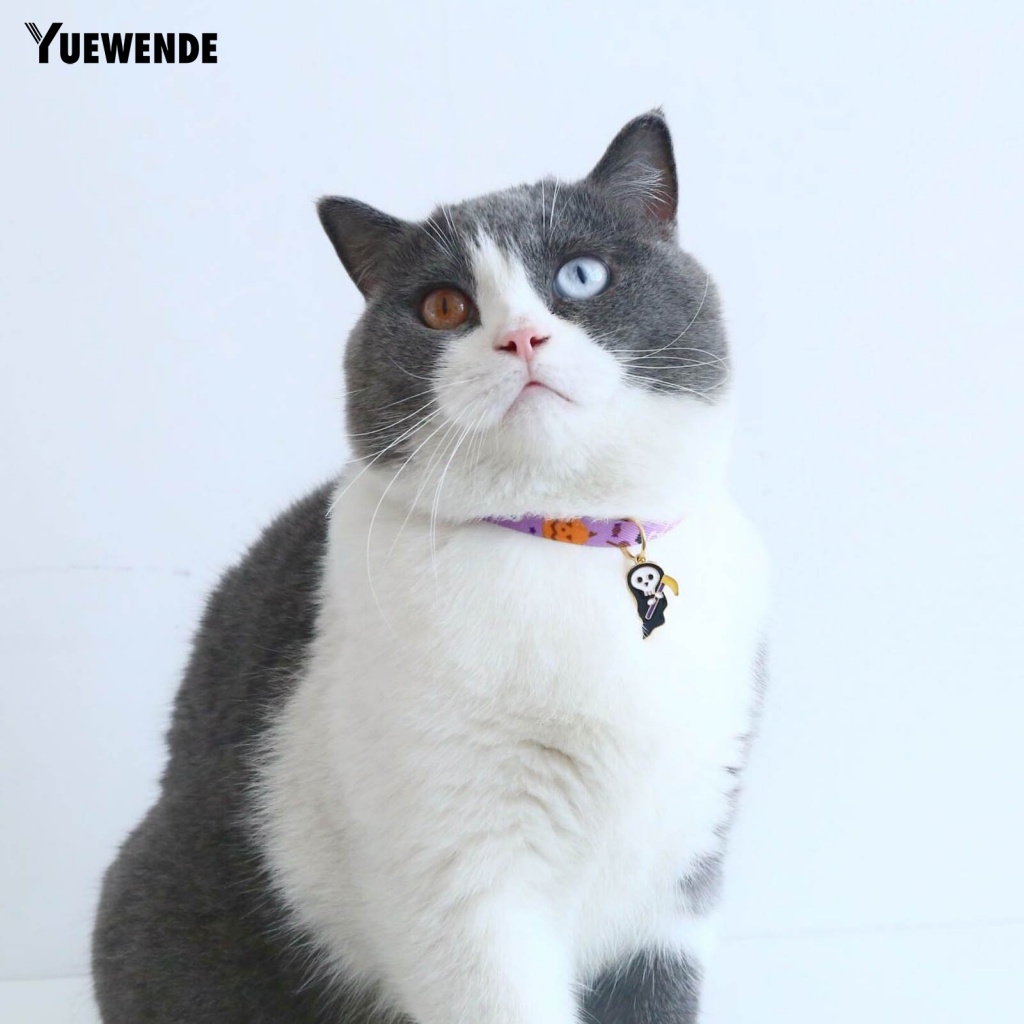 Vòng Cổ Gắn Chuông Họa Tiết Ma Bí Ngô Có Thể Điều Chỉnh Trang Trí Lễ Hội Cho Thú Cưng