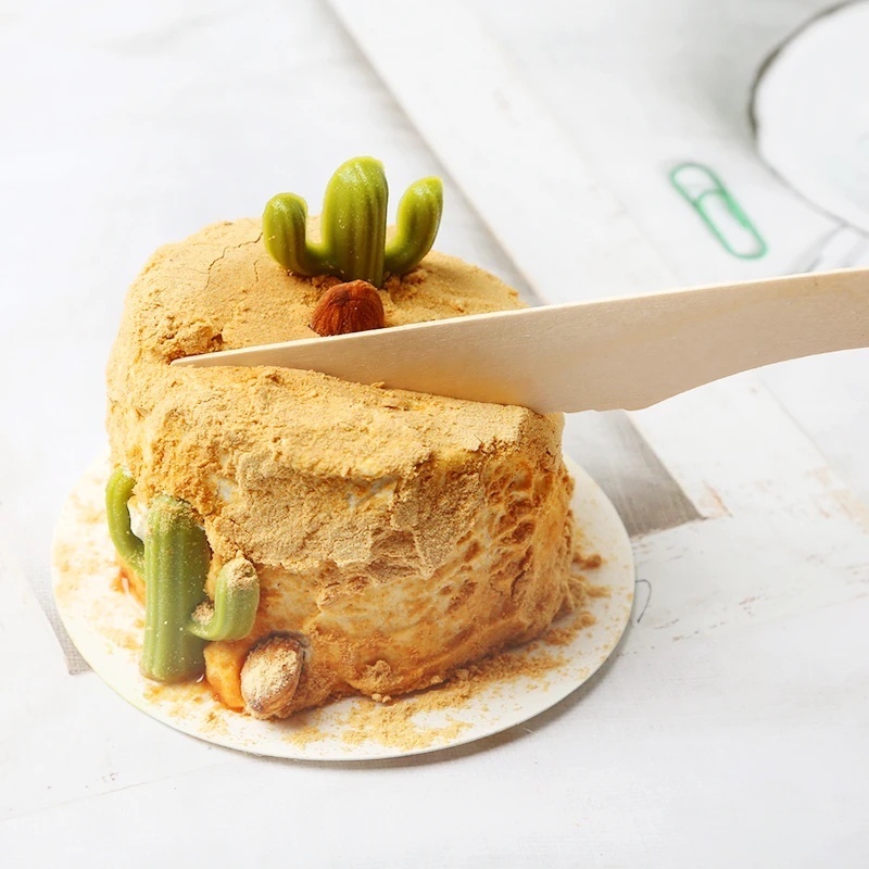 Set 100 Muỗng Nĩa Ăn Kem / Cà Phê / Salad / Bánh Mì Pasta Tự Nhiên Phân Hủy Được Thân Thiện Với Môi Trường