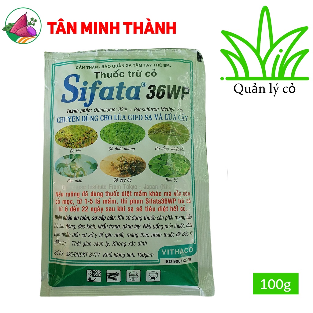 Sifata 36WP quản lý cỏ chác lác, cỏ đuôi phụng, cỏ lồng vực, cỏ lá rộng trên lúa