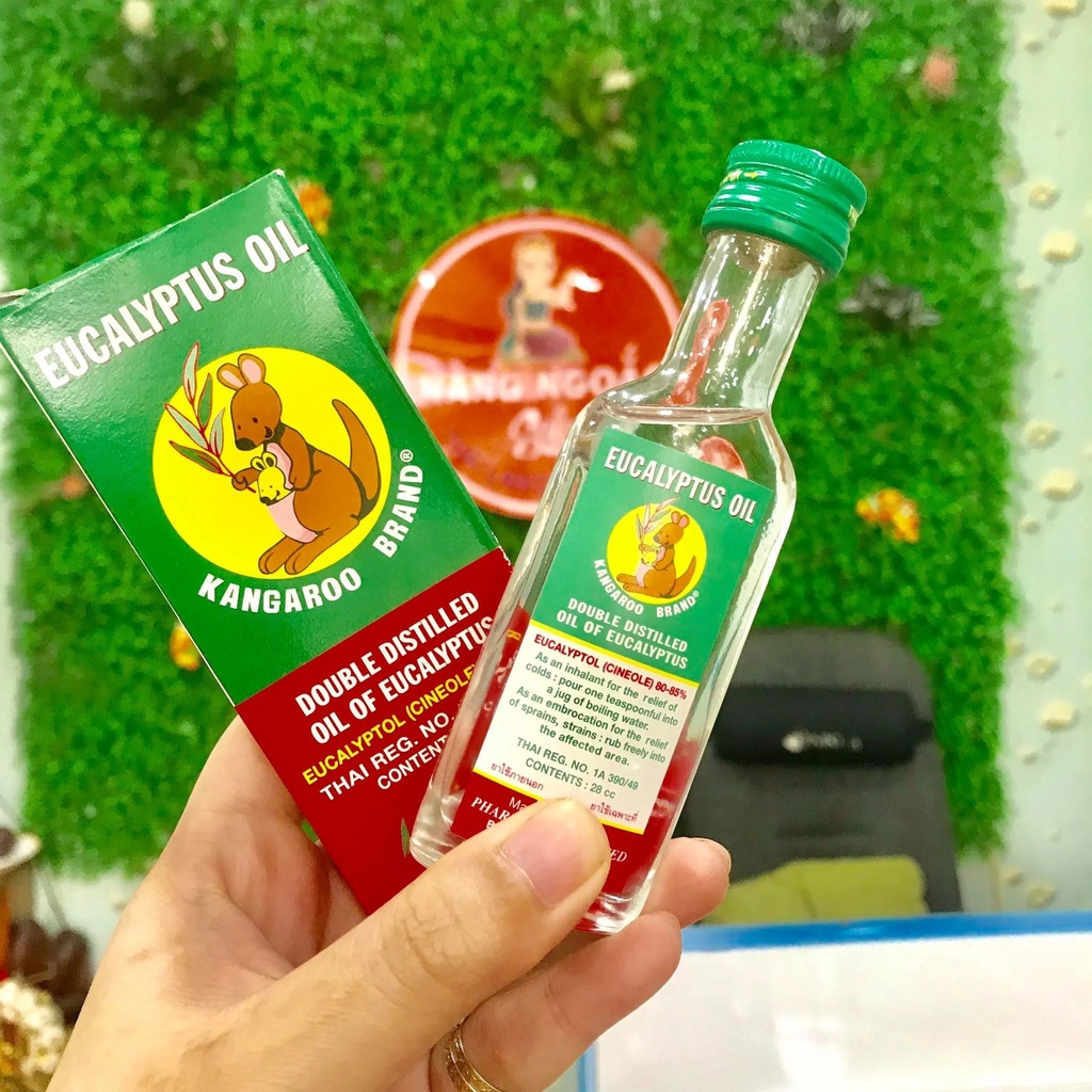 Dầu khuynh diệp Eucalyptus Oil Kangaroo Brand (Thái Lan)