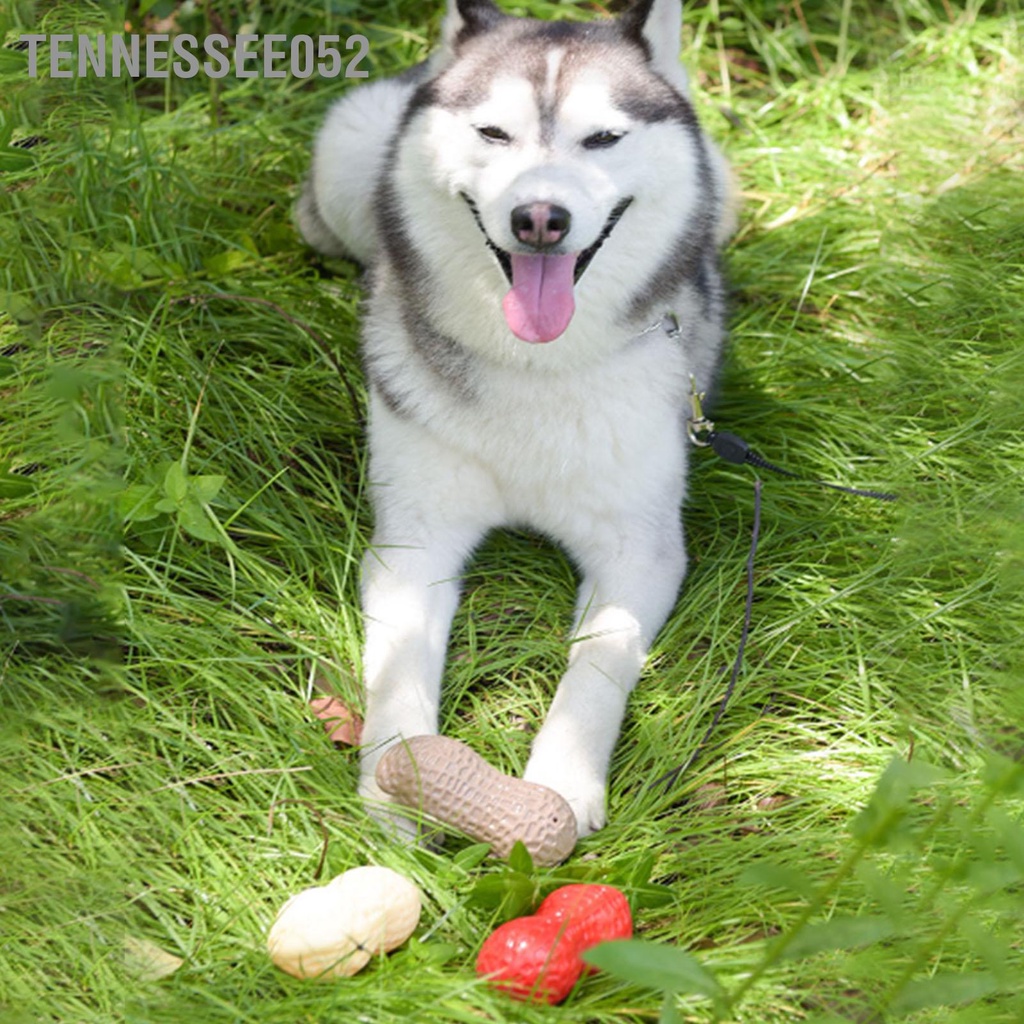 [Hàng Sẵn] Đồ Chơi Nhai Gặm Hình Hạt Đậu Phộng Cho Chó có âm thanh - Đồ chơi tương tác với chó【Tennessee052】