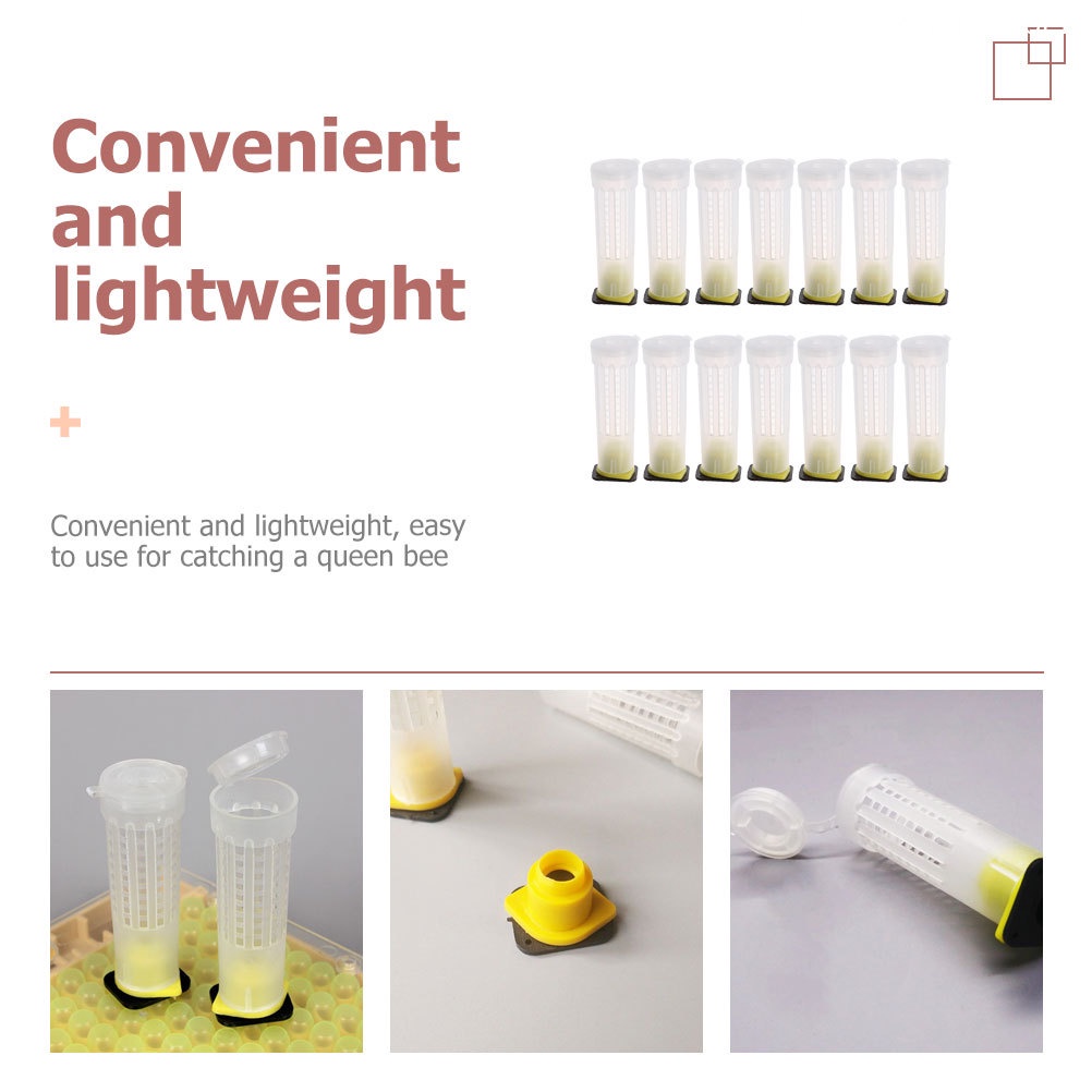 Set 20 Giá Đỡ Cốc Nuôi Ong Bằng Nhựa