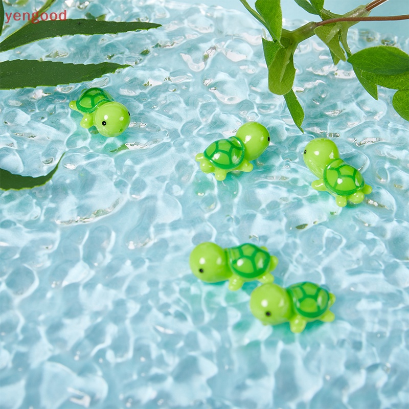 Set 5 Chú Rùa Mini Trang Trí Sân Vườn