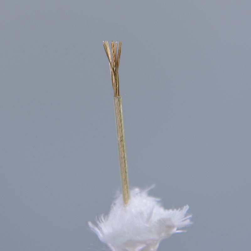 Dây Thừng Thoát Hiểm An Toàn Lõi Thép Chịu Lực Cao Cho Leo Núi Đá