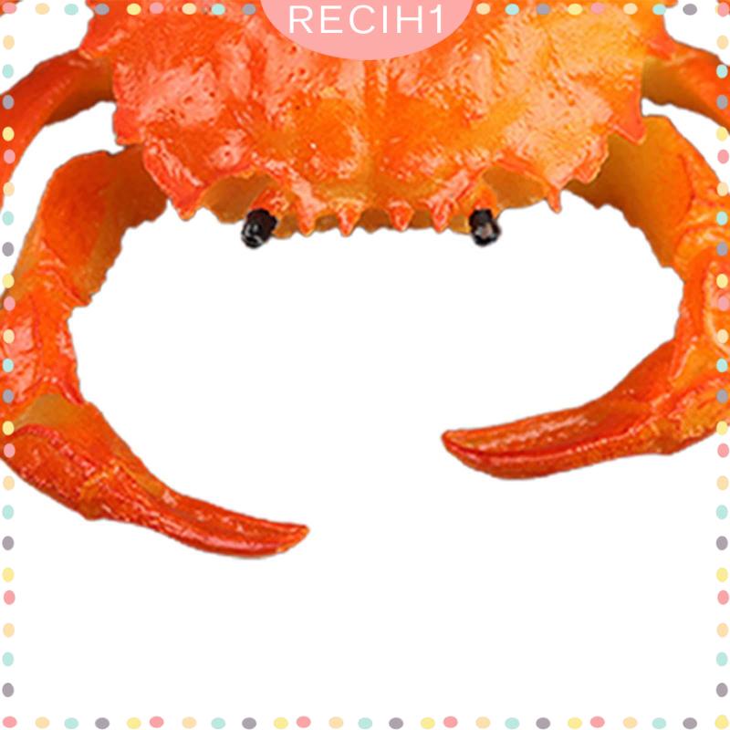 Mô Hình Sinh Vật Biển Đồ Chơi Cho Bé