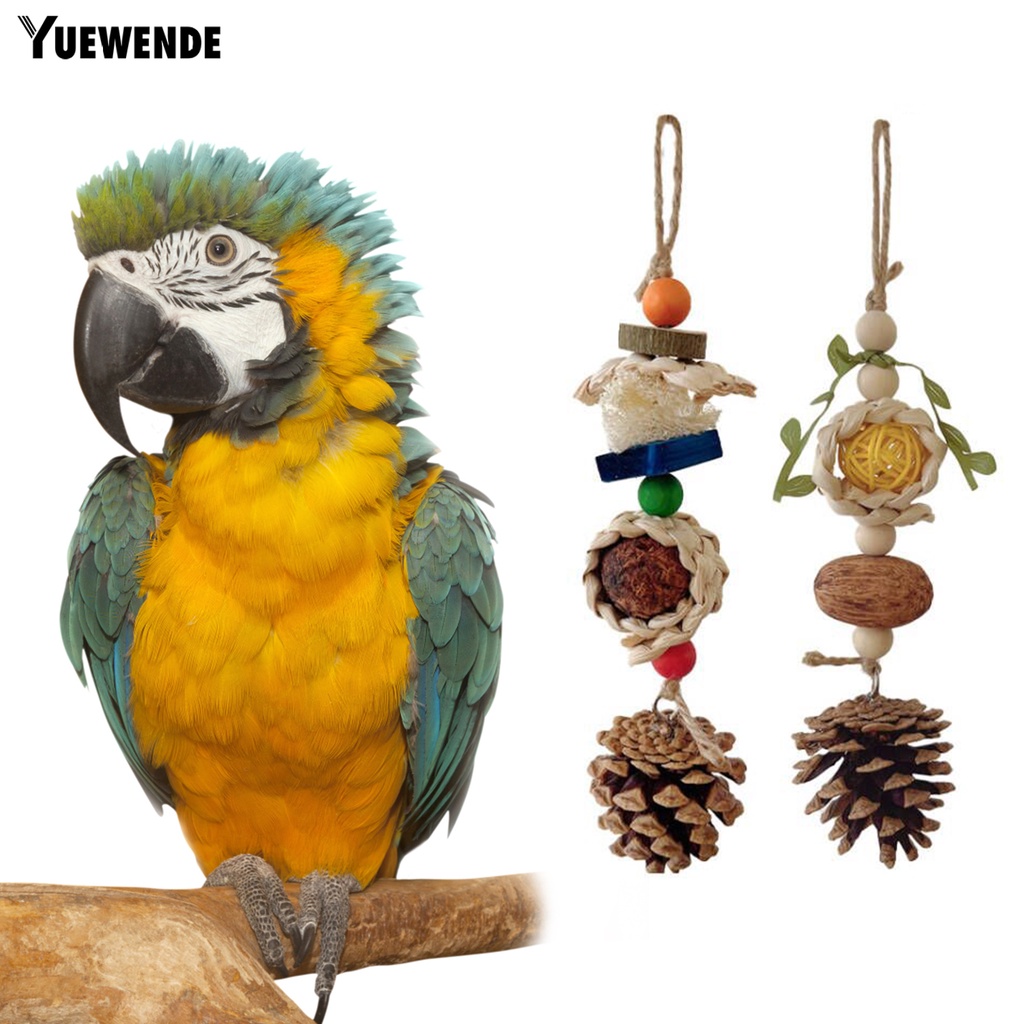 Đồ Chơi Nhai Gặm Hình Nón Có Dây Đeo Chống Cắn Dễ Treo Cho Chim Vẹt