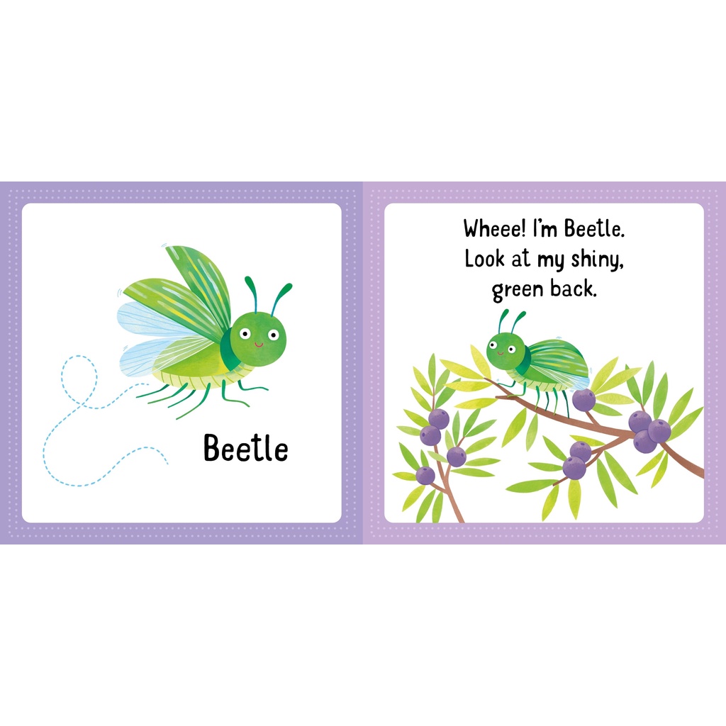 Usborne First Jigsaws And Book: Bugs