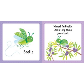 Usborne First Jigsaws And Book: Bugs