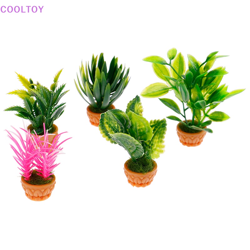 1 Đồ trang trí Nhà Búp Bê COOLTOY 1: 12 Mini Trang Trí Tiểu Cảnh