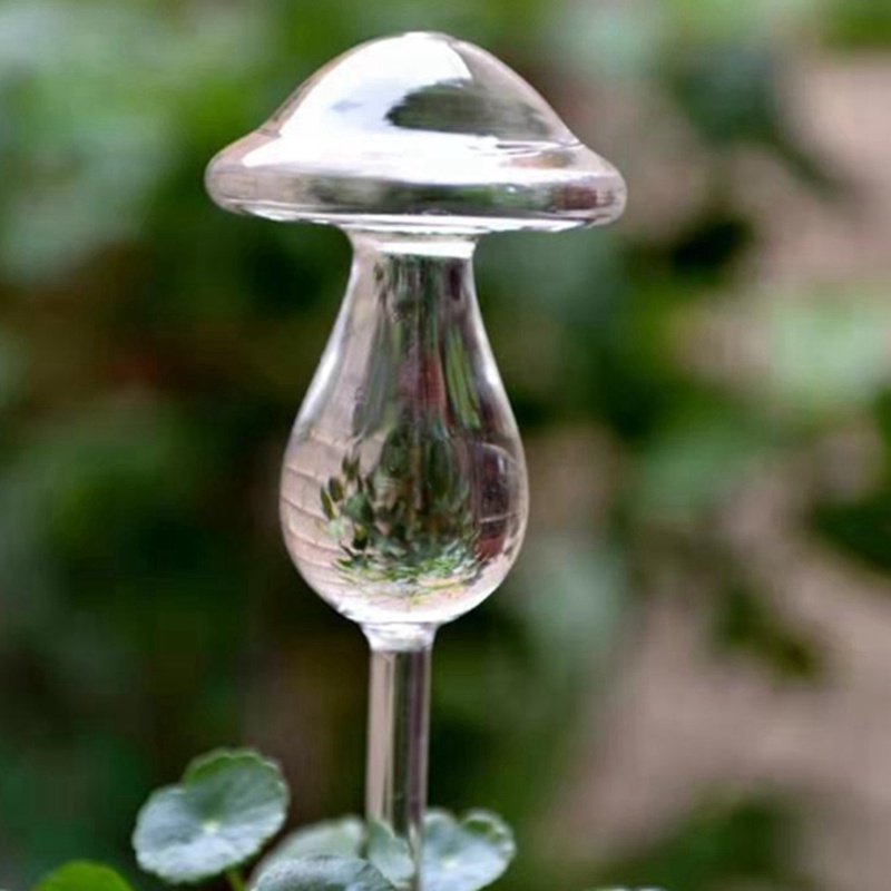 Set 4 Đầu Tưới Cây Hình Nấm Bằng Kính Tiện Lợi