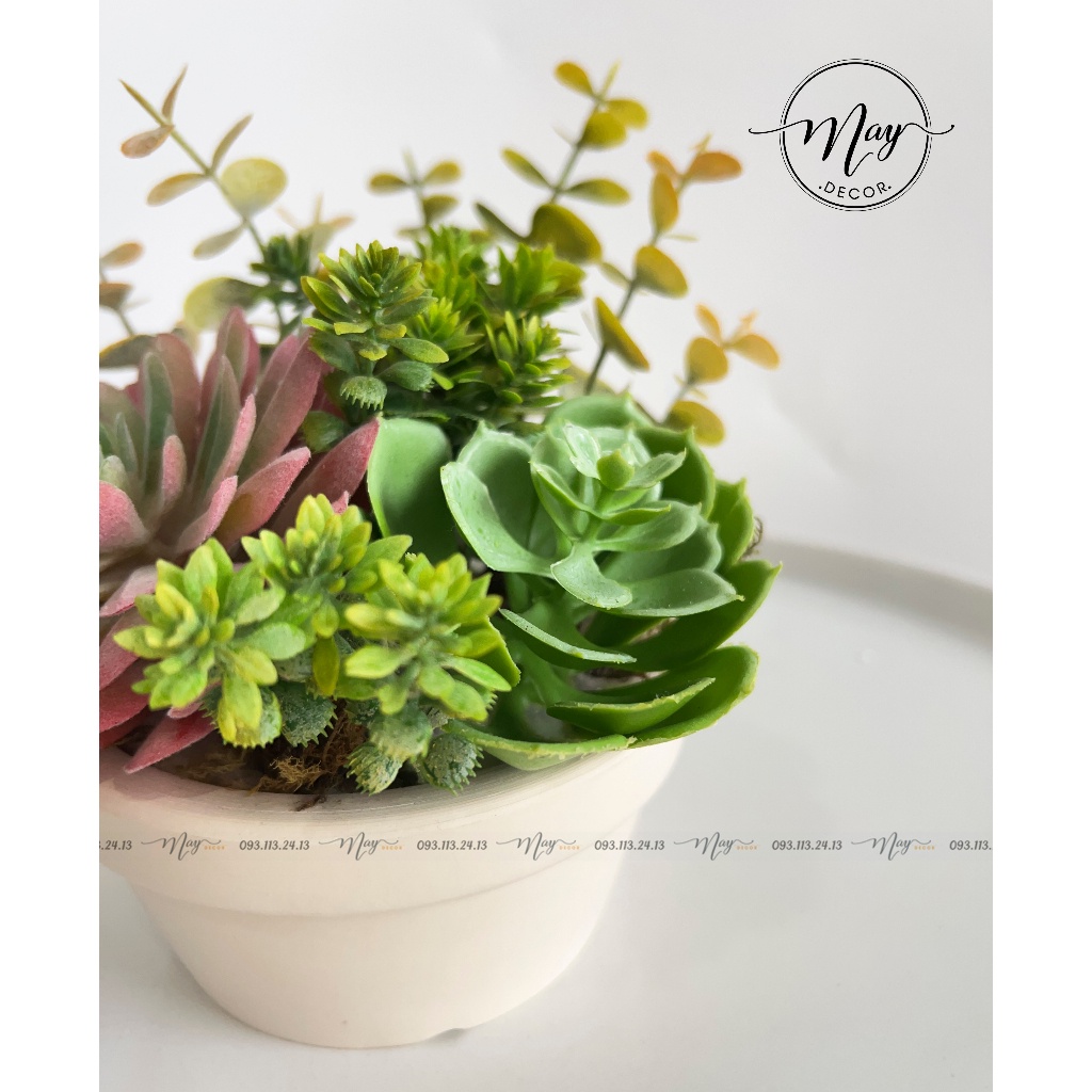 Chậu cây giả, Chậu Sen Quan Âm Hồng Mix sen đá trang trí