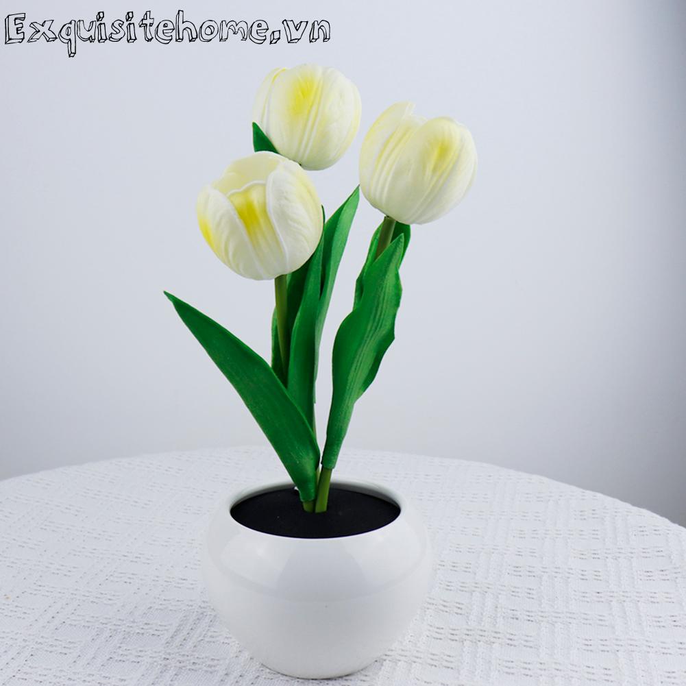 Đèn LED Để Bàn Hình Hoa Tulip An Toàn Cho Tiệc Cưới / Valentines