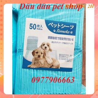 [ Bán sỉ ] Giấy lót chuồng cho chó mèo