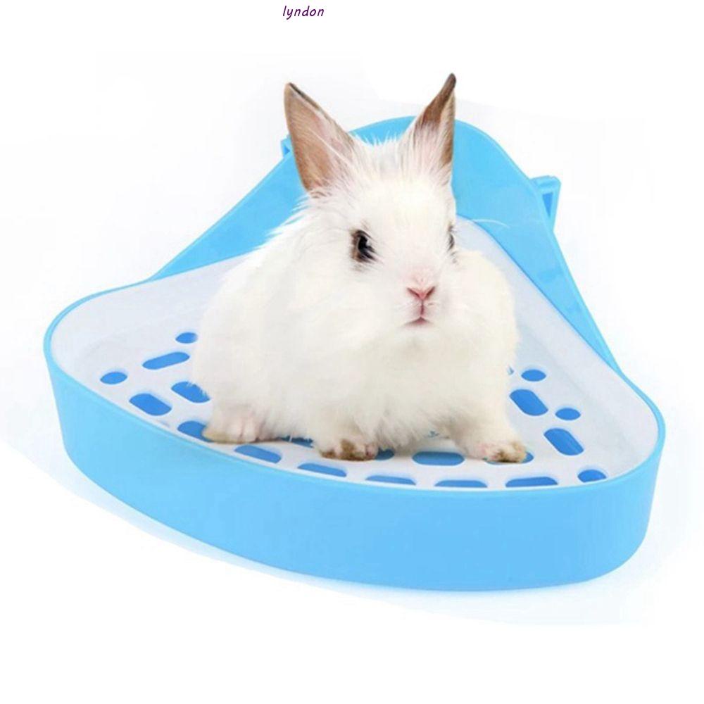 Lyndon pee toilet guinea pig cún con thực tế góc nhà vệ sinh hộp đựng bô đào tạo khay lồng phụ kiện pee pot litter khay