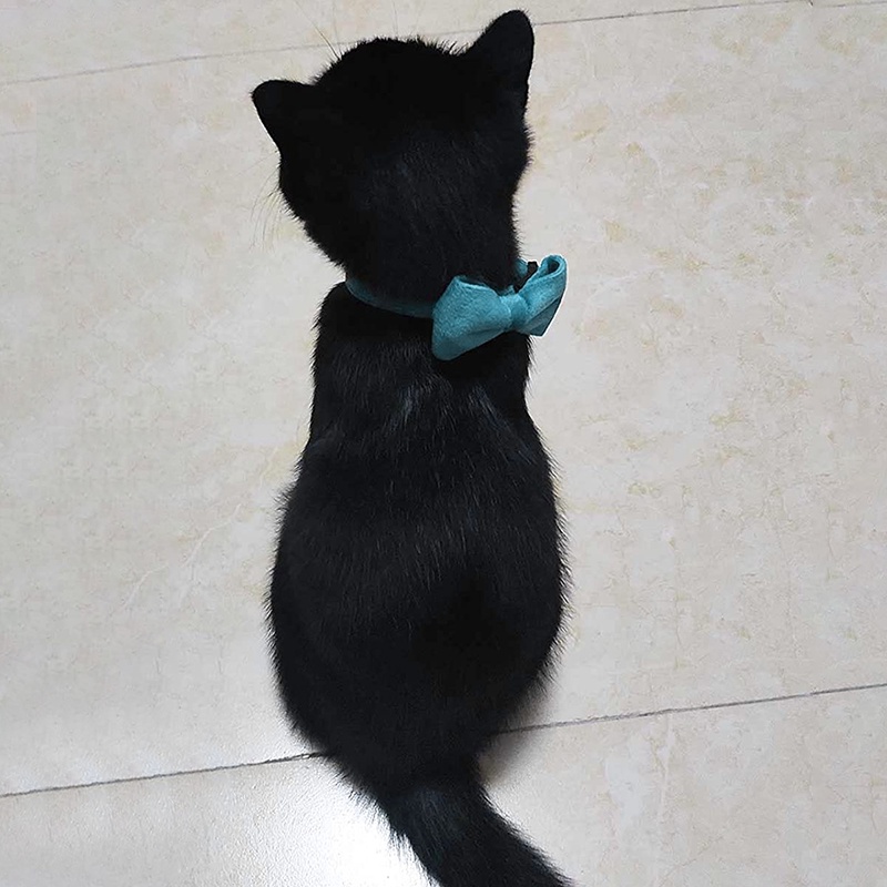 Vòng Cổ Nhung Cao CấP, Có Chuông Cho Thú Cưng