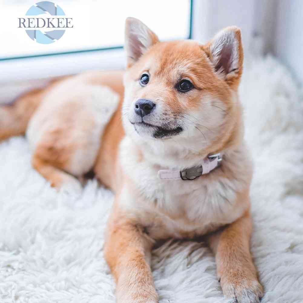 Hộp Đựng Theo Dõi Thú Cưng Chống Thất Lạc Chống Bụi Tiện Dụng