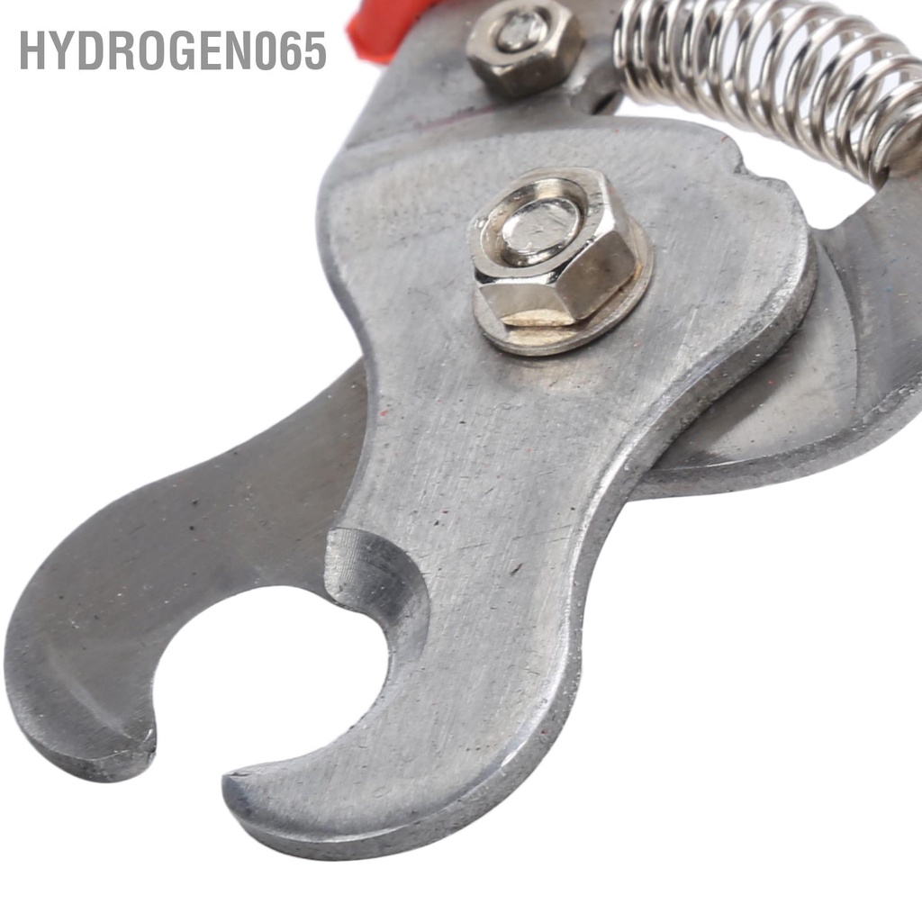 Hydrogen065 Dụng cụ gỡ thẻ tai bấm động vật bằng thép không gỉ cho Lợn Gia súc Cừu