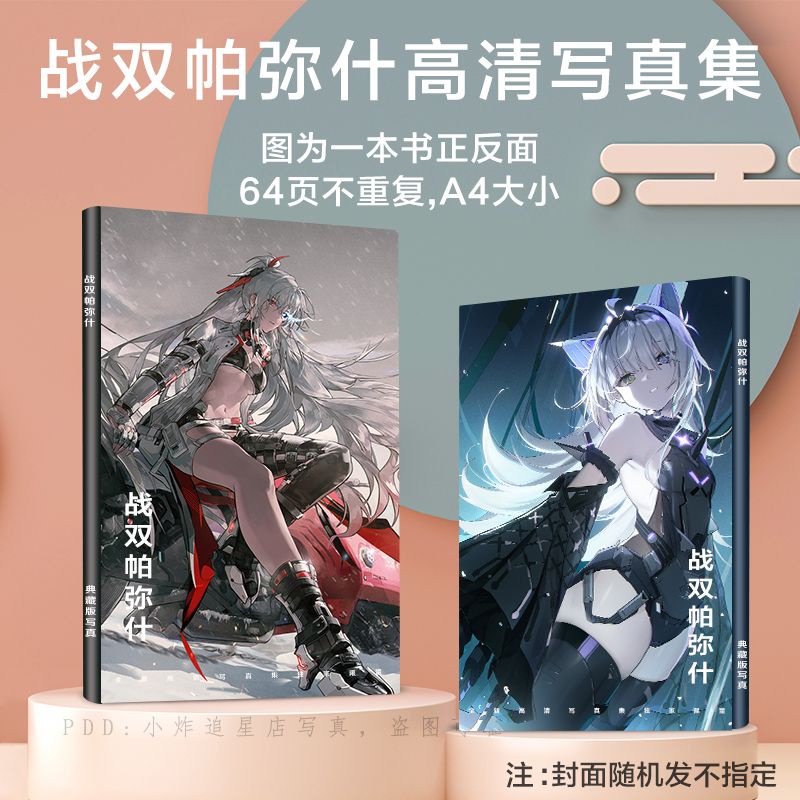 GRAY RAVEN: PUNISHING HD picture book Two-Dimensional game around the photo book souvenir gift