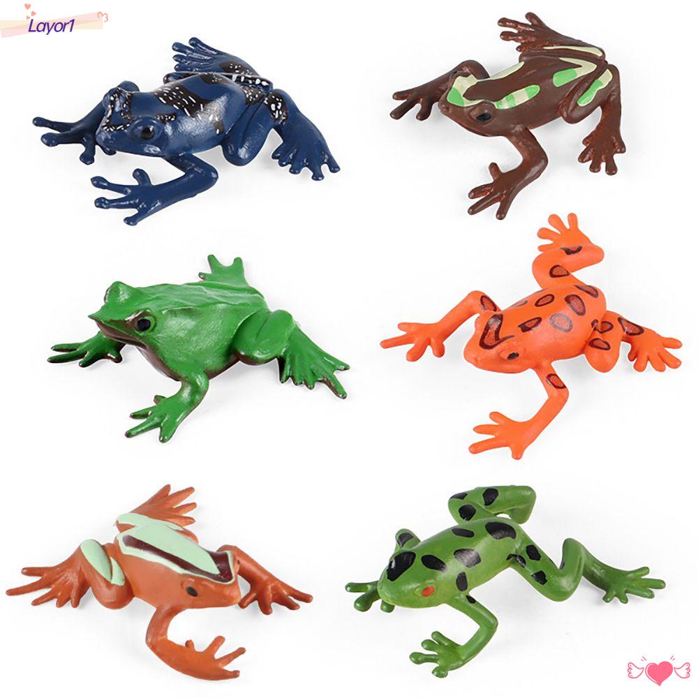 Set 1 / 6 Mô Hình Ếch Sống Động Như Thật Dùng Để Dạy Học