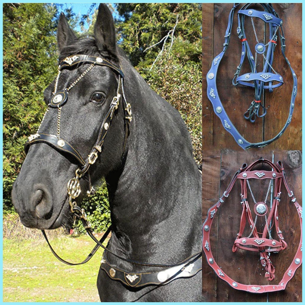 Dây Buộc Ngựa Và Dây Dẫn Bằng Da PU Cho Ngựa Unfettered Thiết Kế Tiện Dụng Thoải Mái