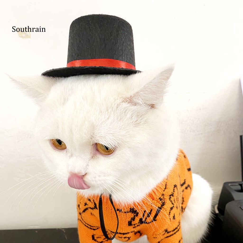 Mũ Đội Bằng Vải Không Dệt Phong Cách Ảo Thuật Gia Dành Cho Mèo Cưng