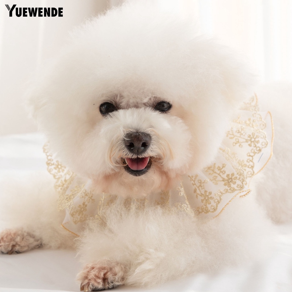 Vòng Cổ Ren Đính Ngọc Trai Nhân Tạo Thoáng Khí Dành Cho Thú Cưng YQ.E