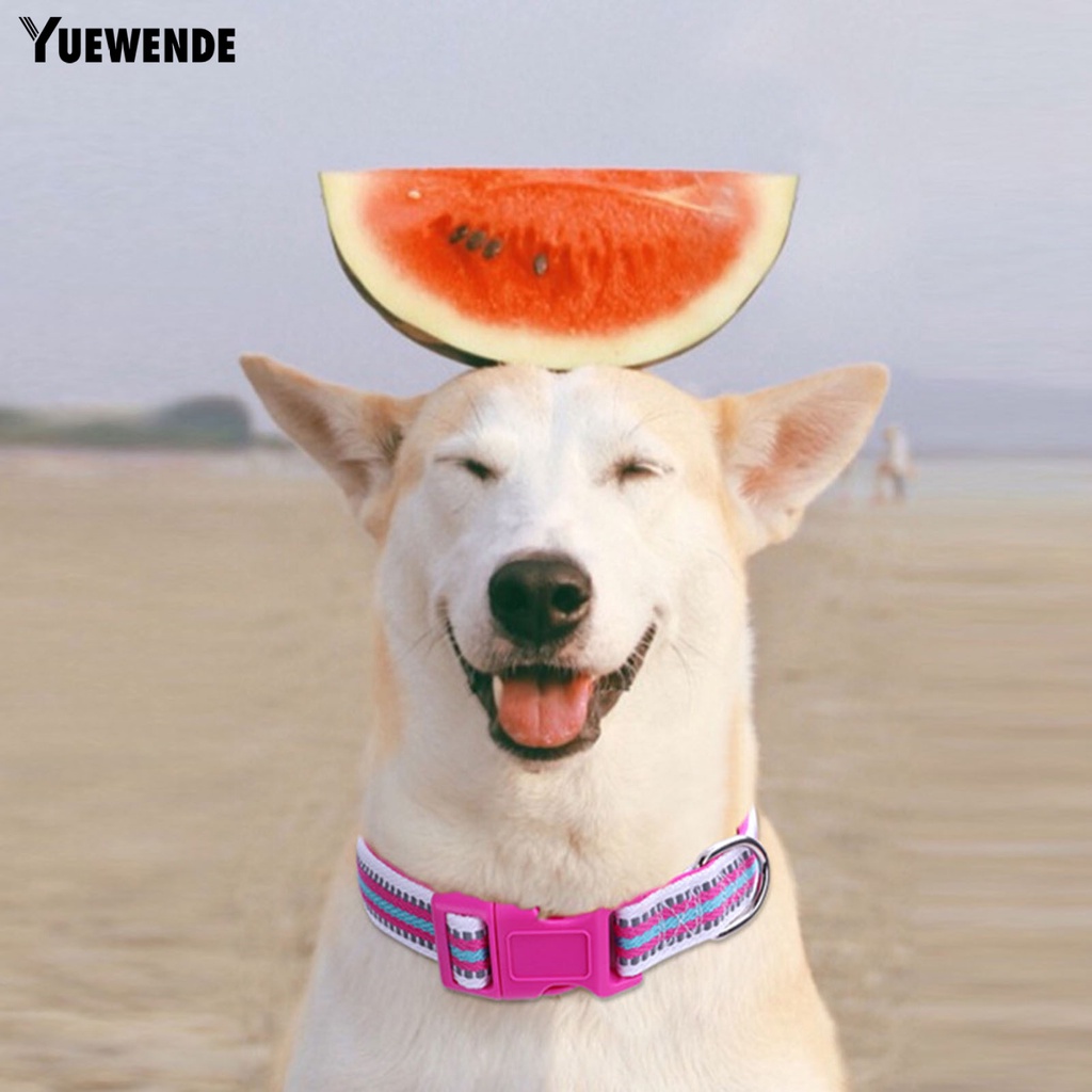 Vòng Cổ Tròn Bằng Polyester Phản Quang Điều Chỉnh Được Dành Cho Thú Cưng YQ.E