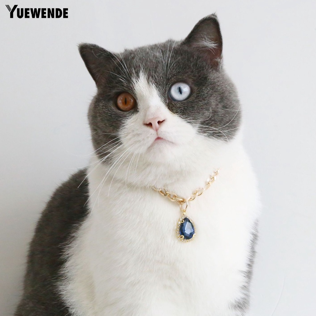 Vòng Cổ Bắt Mắt Đính Đá Resin Lấp Lánh Cho Thú Cưng