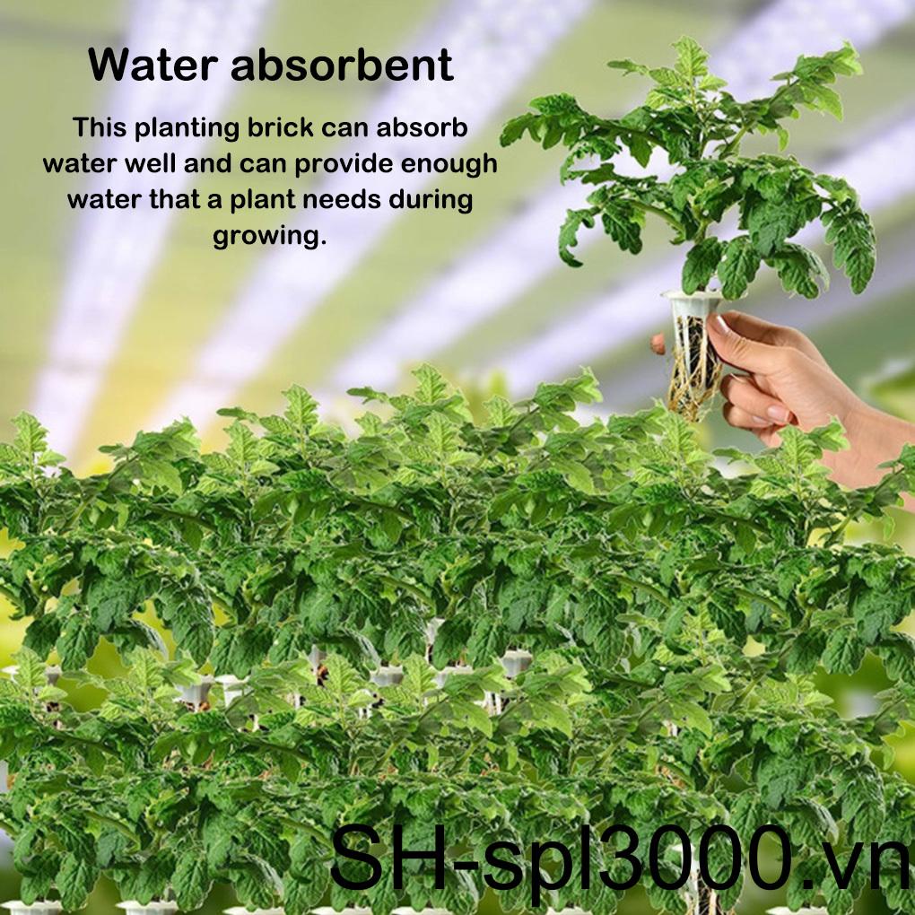 Set 100 Khối Xốp Dùng Trồng Cây Chuyên Dụng