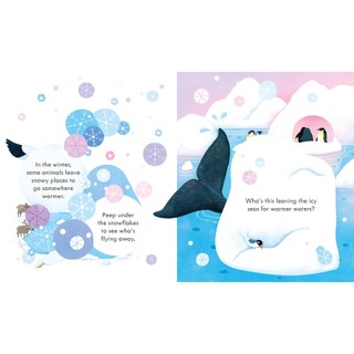 Peep Inside Snowy Places