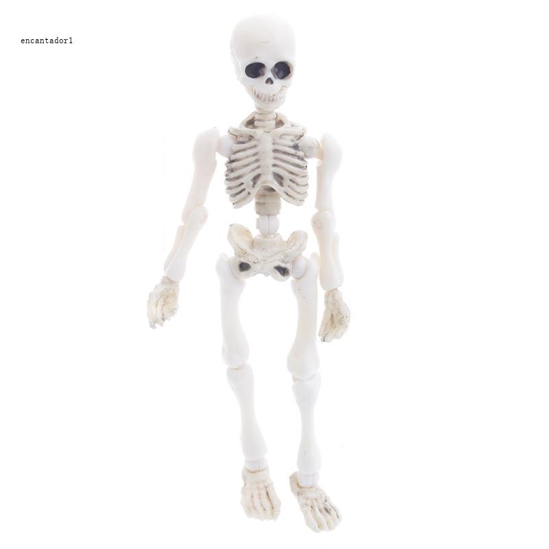 ✿ Mô Hình Bộ Xương Người Mini Toàn Thân Có Thể Di Chuyển Dùng Hóa Trang Halloween