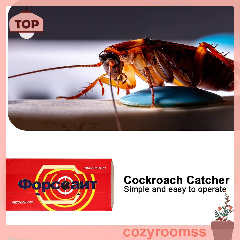 Set 5 Dụng Cụ Bẫy Gián Không Độc Hại Tiện Dụng Cho Nhà Bếp