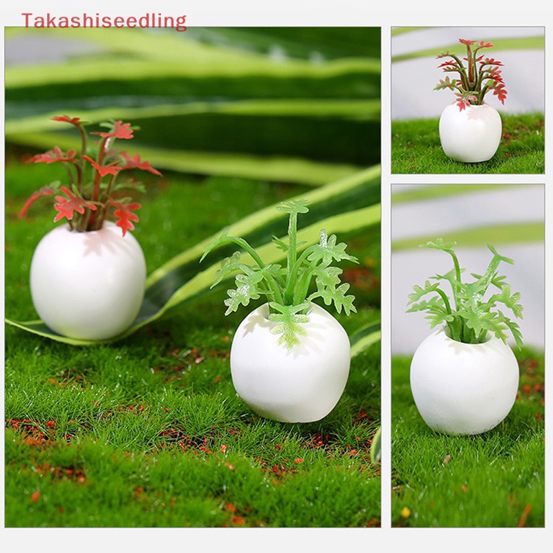 Mô Hình Cây Cảnh Mini Trang Trí Nhà Búp Bê