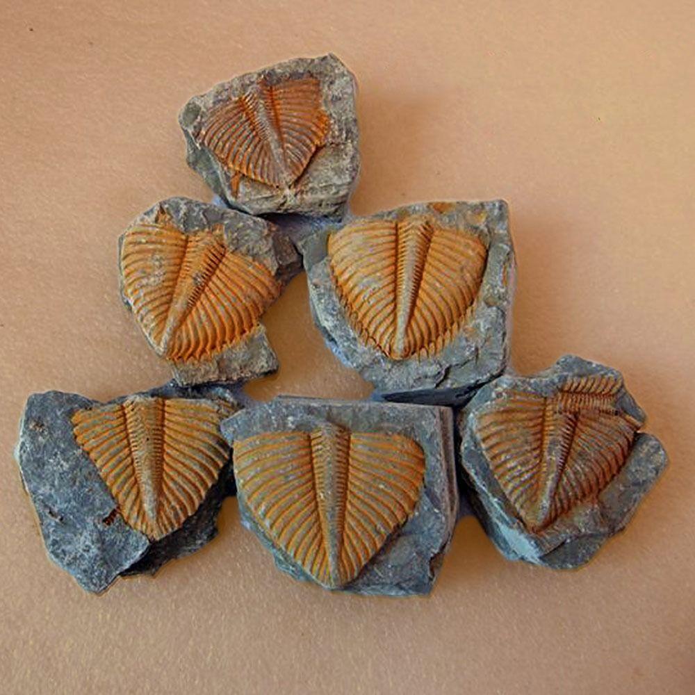 Băng Đô Balenciages Chính Hãng Đuôi Sâu Ba Phần Tự Nhiên Đa Năng DIY Bộ Dụng Cụ Làm Đồ Thủ Công Dành Cho Trẻ Em