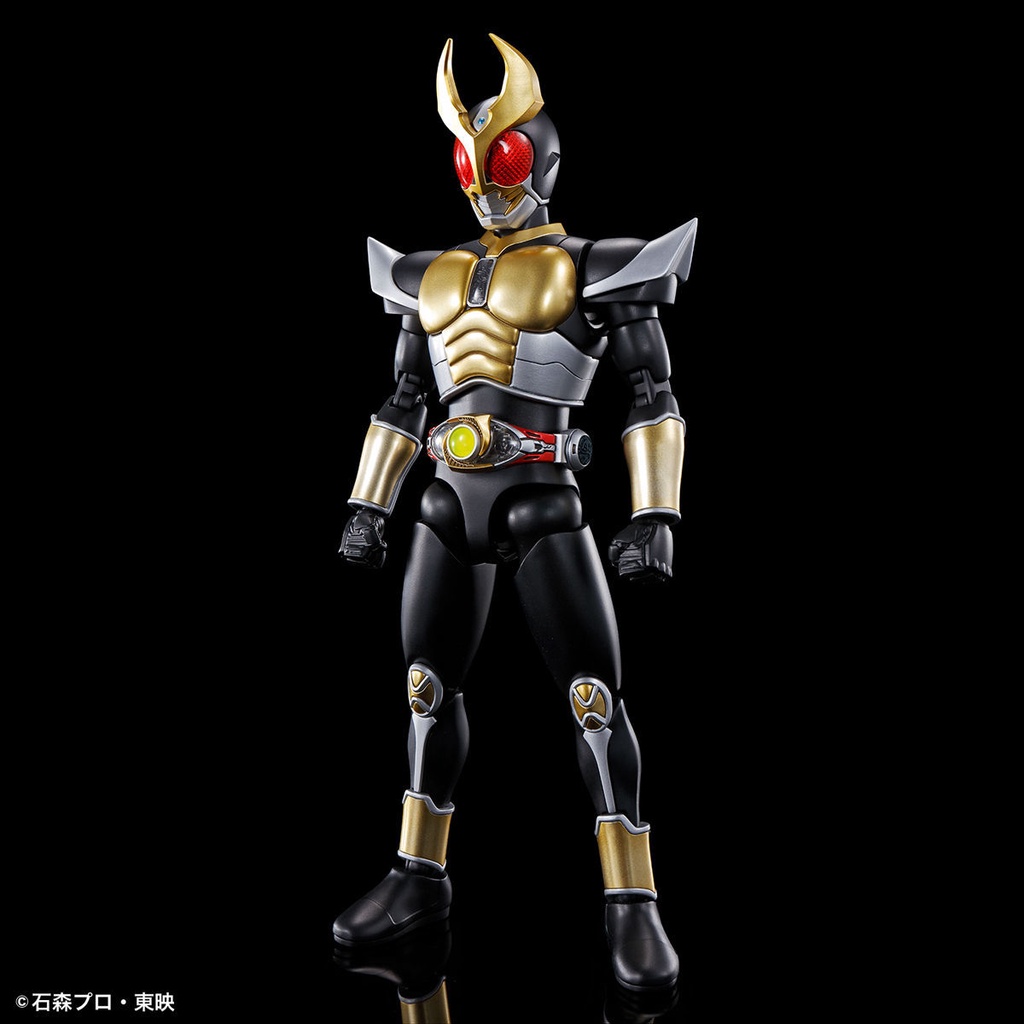 Mô Hình Lắp Ráp Nhân Vật Bandai FRS Kamen Rider AGITO AGITO Earth