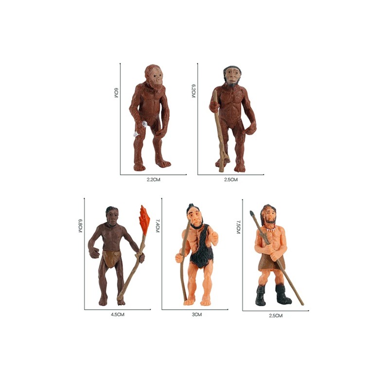 Mô Hình Đồ Chơi Giáo Dục Khoa Học Nhân Vật Tiến Hóa Con Người Cho Bé