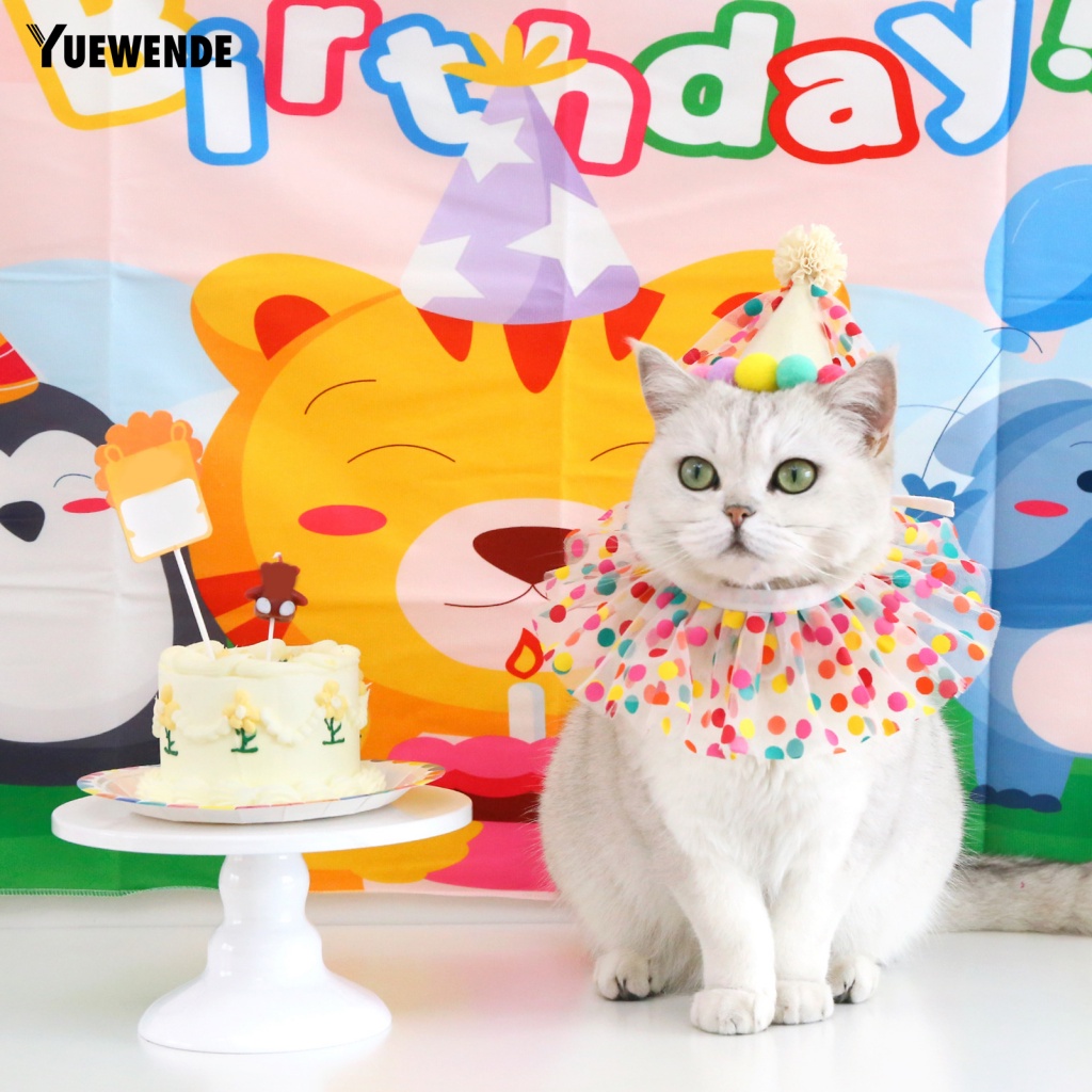 1 Set Băng Đô Và Nón Chụp Ảnh Cho Thú Cưng