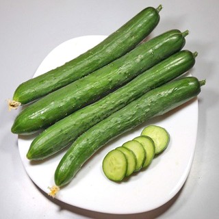 Hạt Giống Dưa Chuột (Dưa Leo) NHẬT - 1gr
