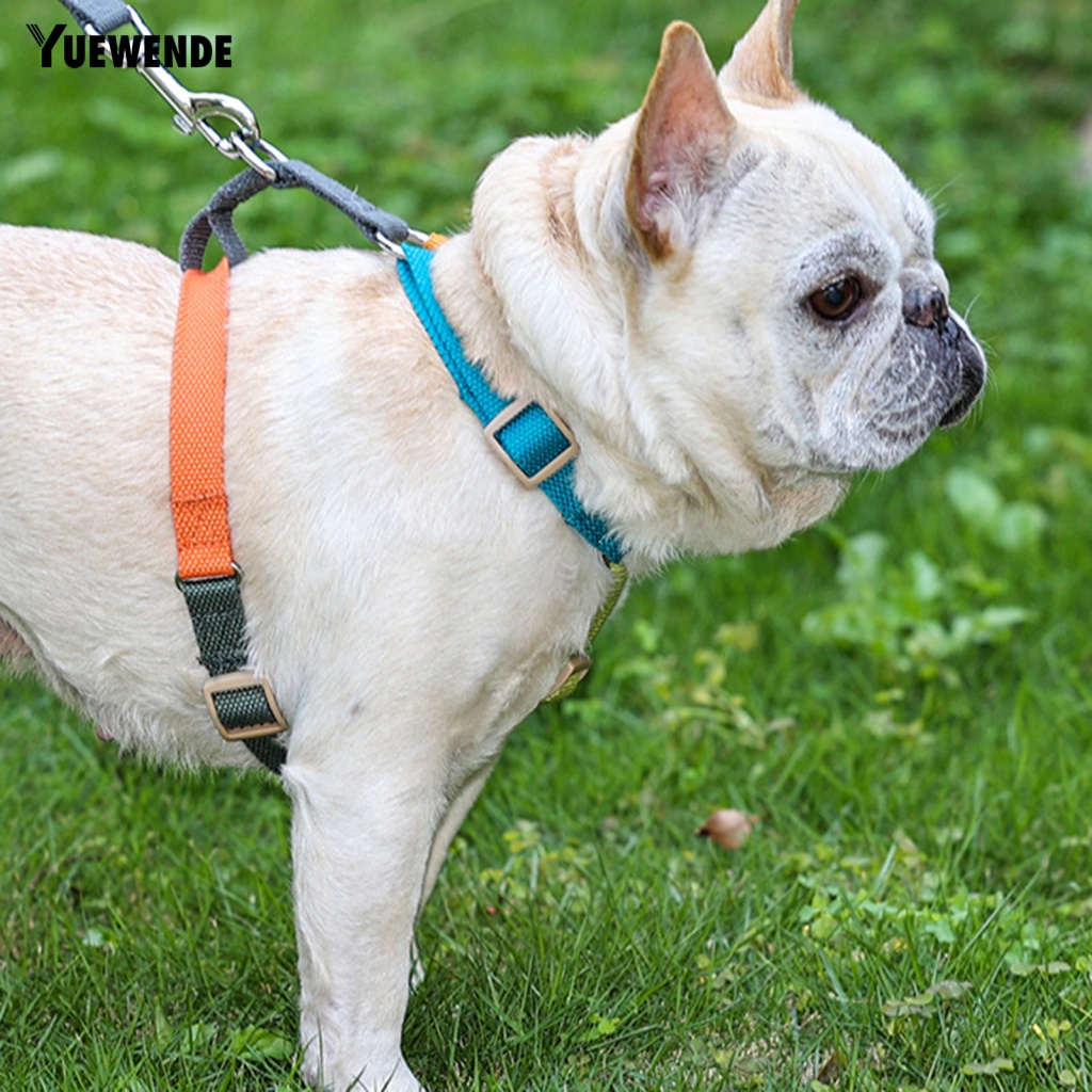 Đai Dắt Chó Đi Dạo Tháo Lắp Nhanh Tiện Lợi Yue.z