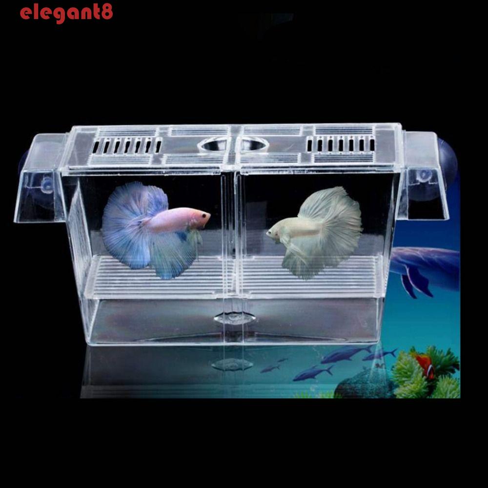 Hộp Nuôi Cá Tôm / Tôm Bằng Acrylic Trong Suốt Có Cốc Hút Tiện Dụng
