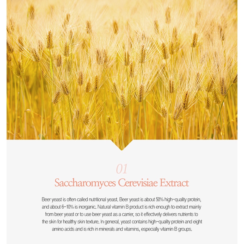 Sữa tắm chứa bia lên men Placenta Glutathione Daycell Medi Lab 280ml