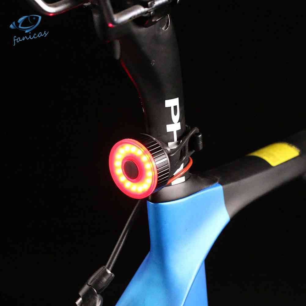 Đèn LED Gắn Đuôi Xe Đạp Leo Núi IPX5 MTB