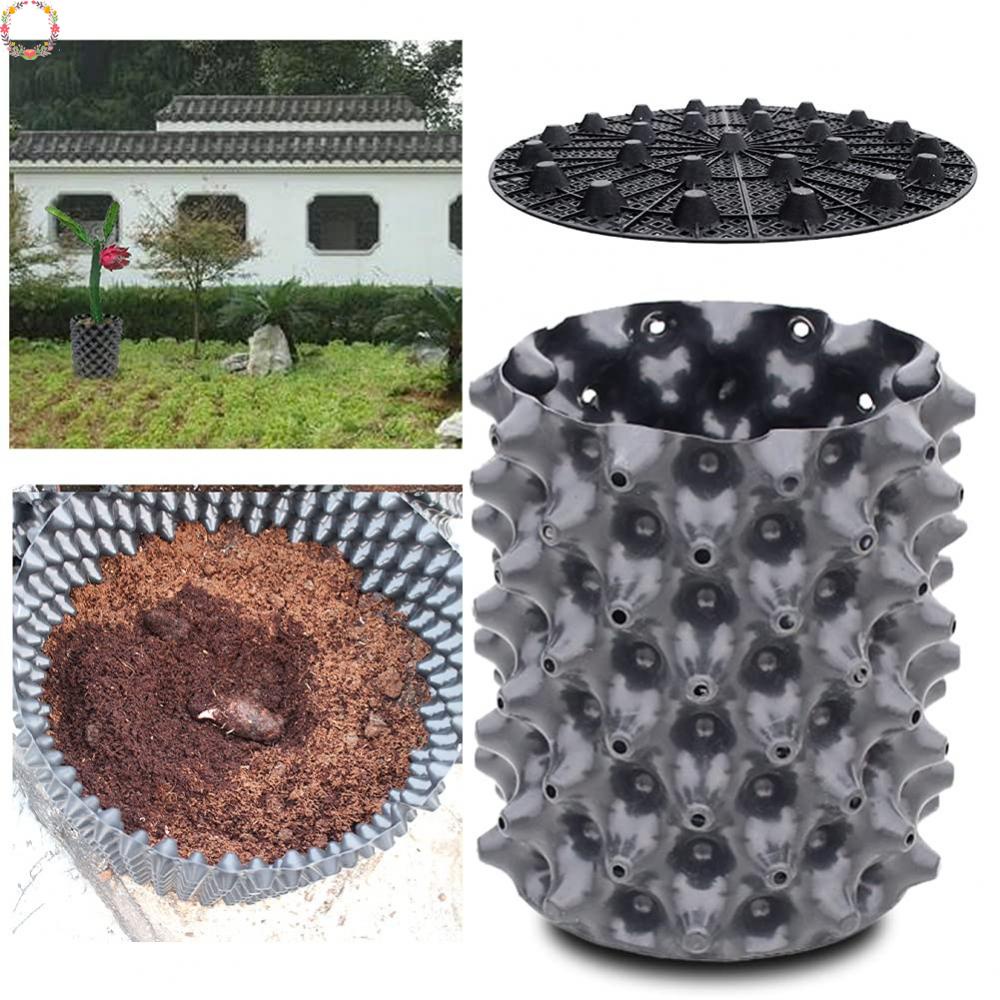 Túi Khí Trong Suốt Hỗ Trợ Nâng Cây Trồng