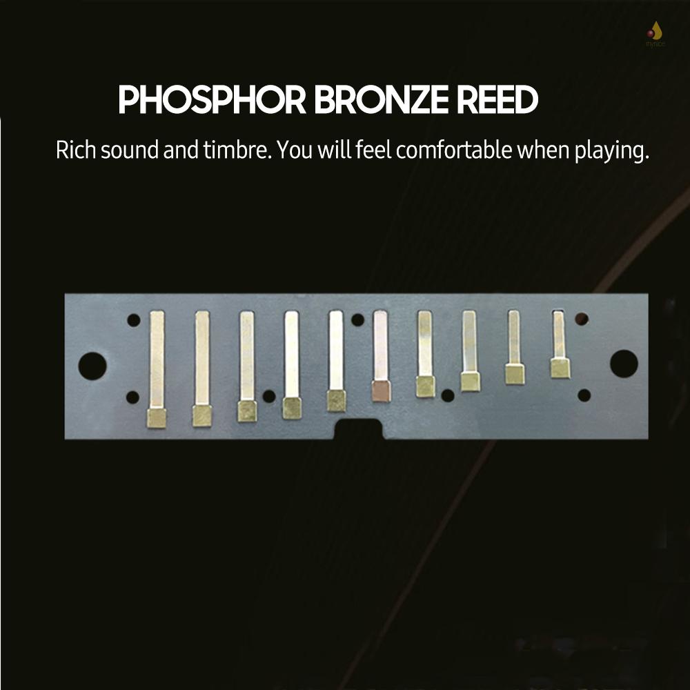 Kèn Harmonica 10 / 20 Tông Màu Xanh Dương Bằng Thép Không Gỉ Cho Người Lớn Và Trẻ Em