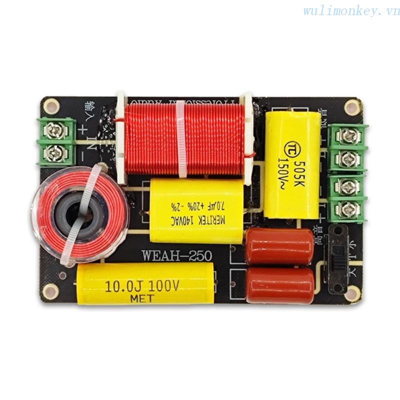 Loa 2 Chiều WU 250W Âm Thanh Siêu Trầm Chất Lượng Cao