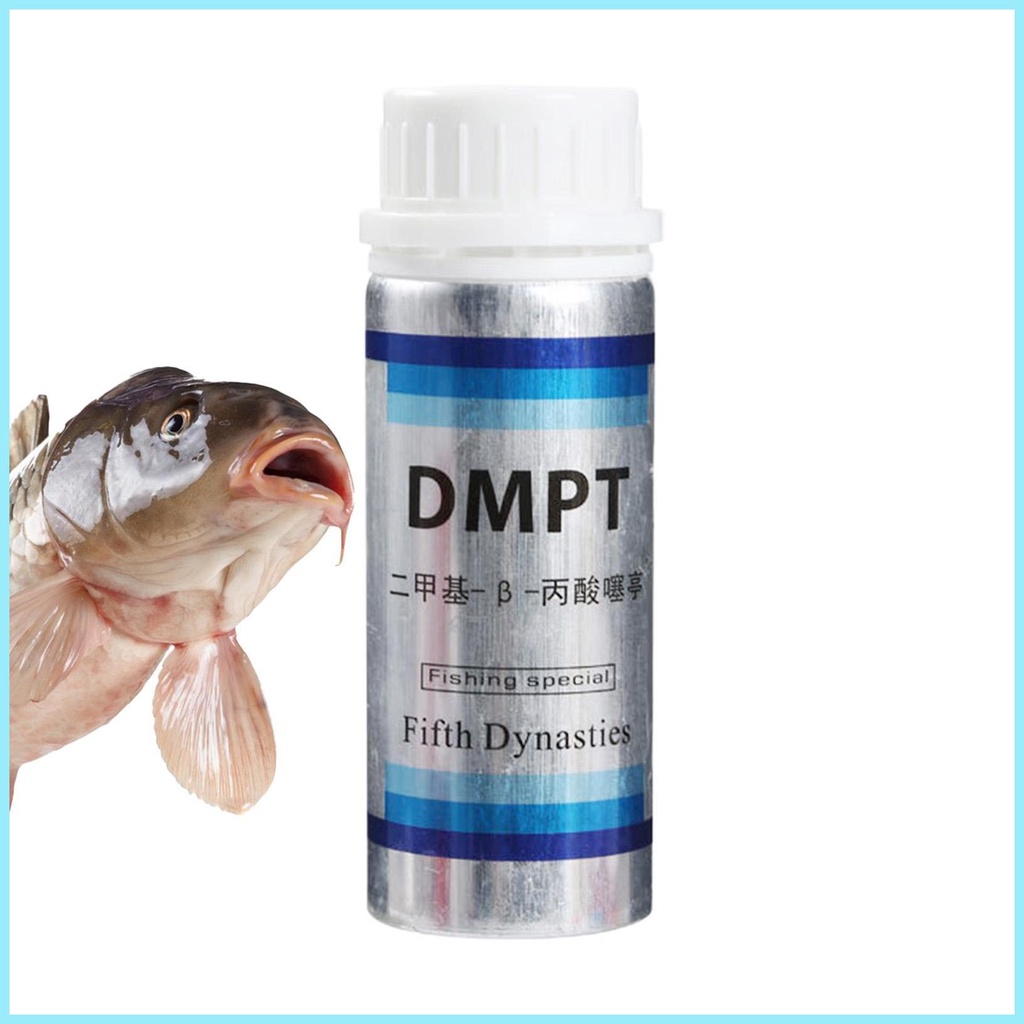 Phấn Bắt Sáng 40g / 70g Chuyên Dụng Cho Câu Cá